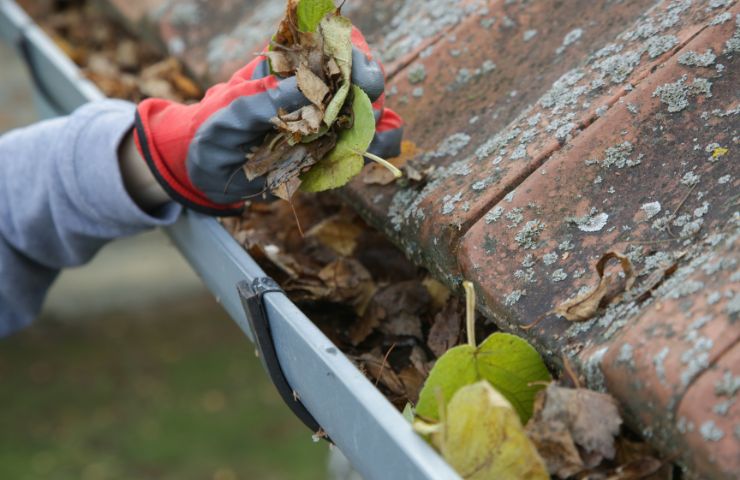 Smyrna Gutter Cleaning